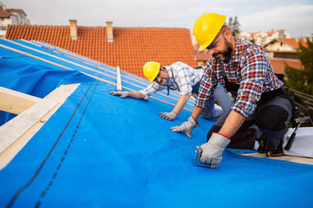 Best Storm Damage Roof Repair  in Northford, CT